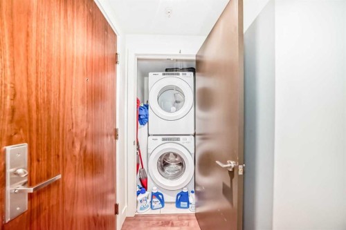 507-10 Shawnee Hill Sw, Calgary, AB - Indoor Photo Showing Laundry Room