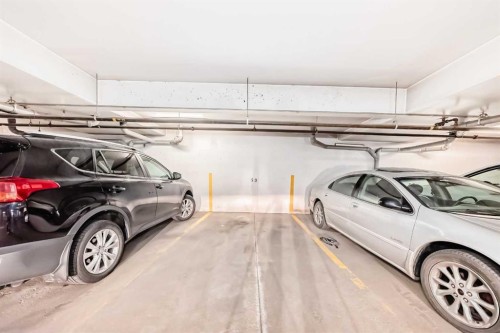 507-10 Shawnee Hill Sw, Calgary, AB - Indoor Photo Showing Garage