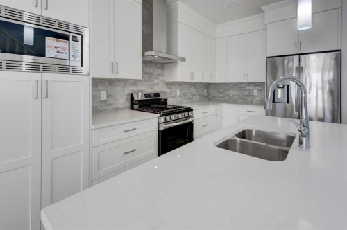 116 Herron Walk Ne, Calgary, AB - Indoor Photo Showing Kitchen With Stainless Steel Kitchen With Double Sink With Upgraded Kitchen