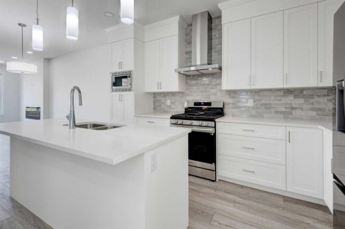116 Herron Walk Ne, Calgary, AB - Indoor Photo Showing Kitchen With Double Sink With Upgraded Kitchen