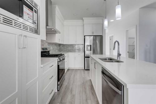 116 Herron Walk Ne, Calgary, AB - Indoor Photo Showing Kitchen With Stainless Steel Kitchen With Double Sink With Upgraded Kitchen