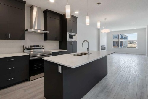 905 Livingston View Ne, Calgary, AB - Indoor Photo Showing Kitchen With Double Sink With Upgraded Kitchen