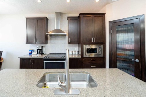 118 Saddlelake Way Ne, Calgary, AB - Indoor Photo Showing Kitchen With Double Sink With Upgraded Kitchen