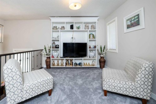 118 Saddlelake Way Ne, Calgary, AB - Indoor