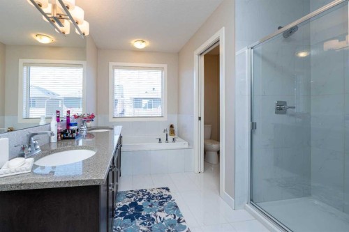 118 Saddlelake Way Ne, Calgary, AB - Indoor Photo Showing Bathroom