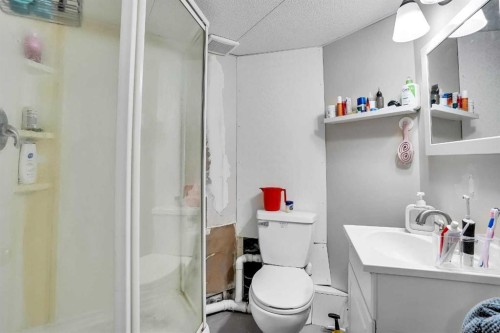19 Taravista Gardens Ne, Calgary, AB - Indoor Photo Showing Bathroom