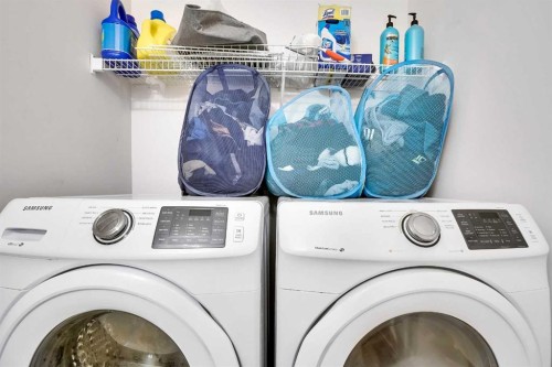 19 Taravista Gardens Ne, Calgary, AB - Indoor Photo Showing Laundry Room