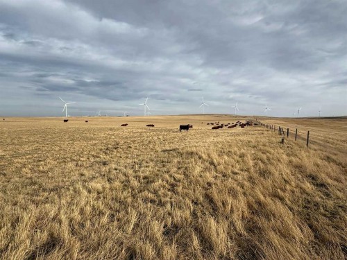 142 Township Range Rd. 225 Township, Rural Vulcan County, AB 