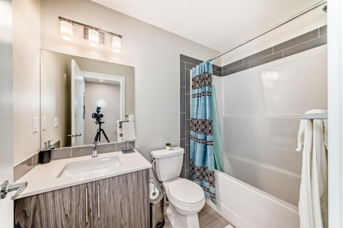 204 Skyview Ranch Circle Ne, Calgary, AB - Indoor Photo Showing Bathroom