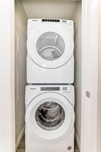 204 Skyview Ranch Circle Ne, Calgary, AB - Indoor Photo Showing Laundry Room