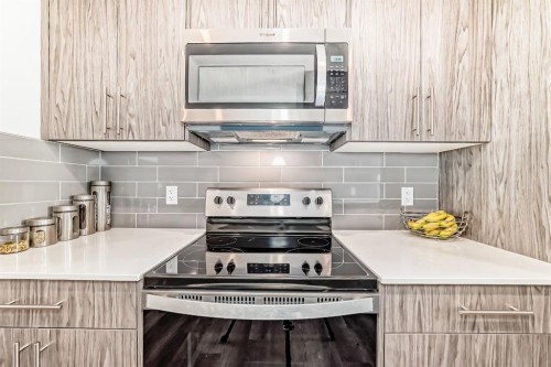 204 Skyview Ranch Circle Ne, Calgary, AB - Indoor Photo Showing Kitchen With Upgraded Kitchen