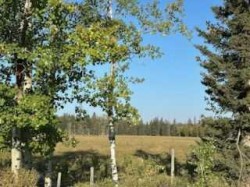 SE 3-33-5 W5  Rural Mountain View County, AB T0M 1X0