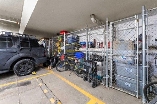 3407-11 Mahogany Row Se, Calgary, AB - Indoor Photo Showing Garage
