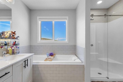 672 Walgrove Boulevard Se, Calgary, AB - Indoor Photo Showing Bathroom