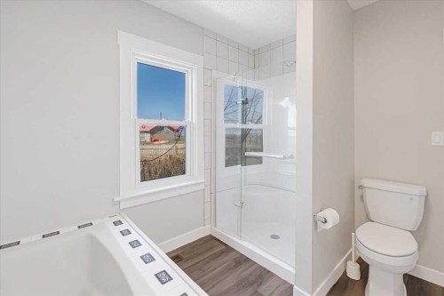 204050 Rr 245, Rural Vulcan County, AB - Indoor Photo Showing Bathroom