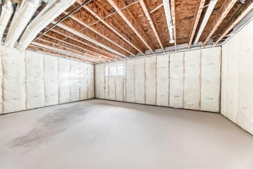 2 Appaloosa Way, Cochrane, AB - Indoor Photo Showing Basement