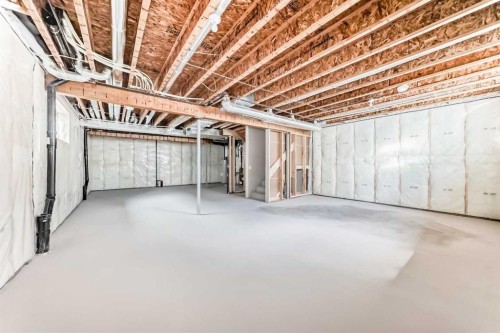 2 Appaloosa Way, Cochrane, AB - Indoor Photo Showing Basement