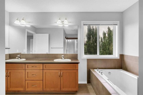 1500 Copperfield Boulevard Se, Calgary, AB - Indoor Photo Showing Bathroom