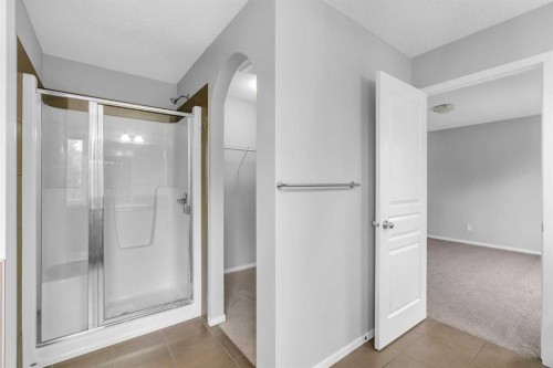 1500 Copperfield Boulevard Se, Calgary, AB - Indoor Photo Showing Bathroom