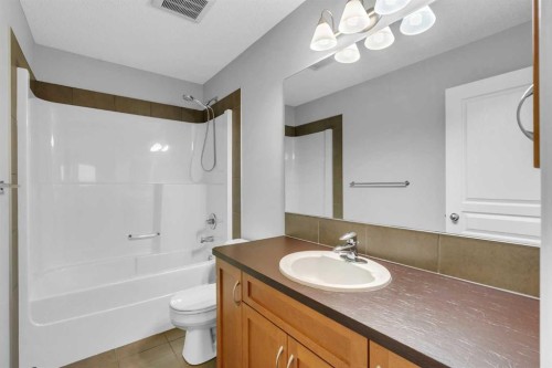 1500 Copperfield Boulevard Se, Calgary, AB - Indoor Photo Showing Bathroom
