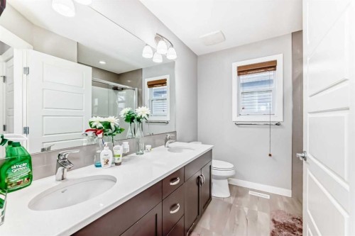 107 Nolancrest Rise Nw, Calgary, AB - Indoor Photo Showing Bathroom