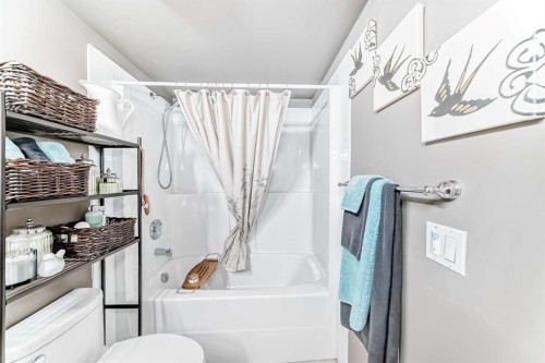 205-1811 34 Avenue Sw, Calgary, AB - Indoor Photo Showing Bathroom