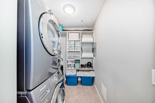 205-1811 34 Avenue Sw, Calgary, AB - Indoor Photo Showing Laundry Room