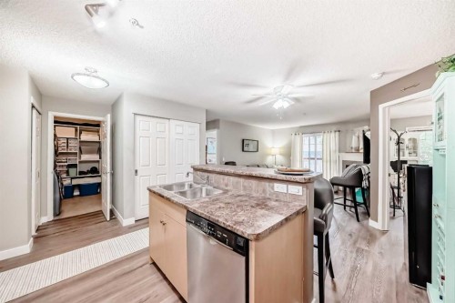 205-1811 34 Avenue Sw, Calgary, AB - Indoor Photo Showing Kitchen With Double Sink