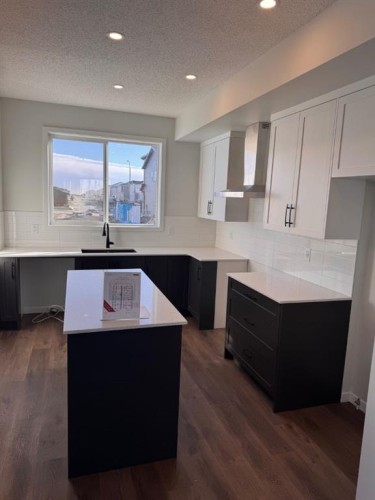 232 Ricardo Ranch Drive Se, Calgary, AB - Indoor Photo Showing Kitchen