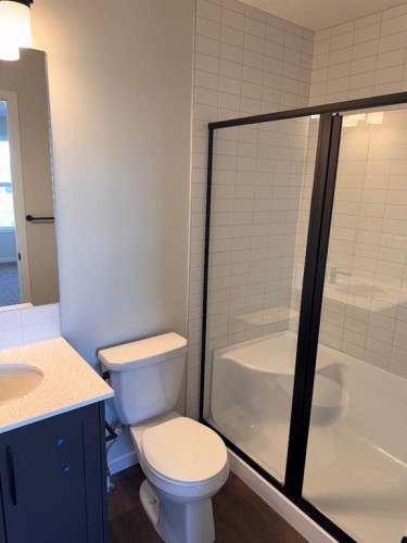 232 Ricardo Ranch Drive Se, Calgary, AB - Indoor Photo Showing Bathroom