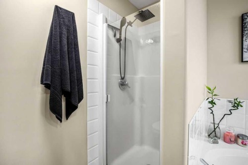 128 Cramond Crescent Se, Calgary, AB - Indoor Photo Showing Bathroom
