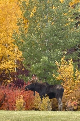 188 Artists View Way, Rural Rocky View County, AB - Outdoor