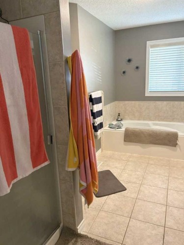 249 West Lakeview Place, Chestermere, AB - Indoor Photo Showing Bathroom