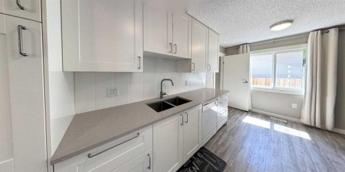 47 Sunhurst Court Se, Calgary, AB - Indoor Photo Showing Kitchen With Double Sink With Upgraded Kitchen