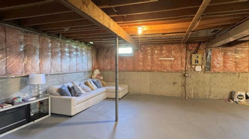 47 Sunhurst Court Se, Calgary, AB - Indoor Photo Showing Basement