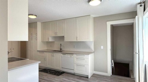 47 Sunhurst Court Se, Calgary, AB - Indoor Photo Showing Kitchen