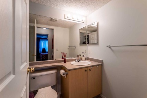 8213-304 Mackenzie Way Sw, Airdrie, AB - Indoor Photo Showing Bathroom