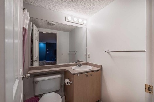 8213-304 Mackenzie Way Sw, Airdrie, AB - Indoor Photo Showing Bathroom