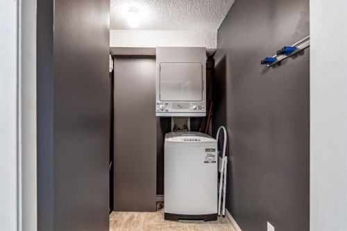 8213-304 Mackenzie Way Sw, Airdrie, AB - Indoor Photo Showing Laundry Room
