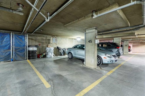 8213-304 Mackenzie Way Sw, Airdrie, AB - Indoor Photo Showing Garage