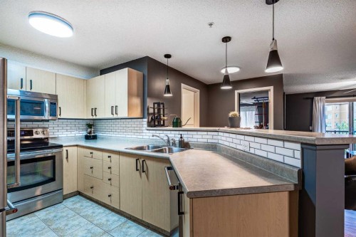 8213-304 Mackenzie Way Sw, Airdrie, AB - Indoor Photo Showing Kitchen With Double Sink