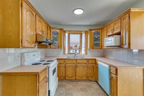 411 Rundleson Place Ne, Calgary, AB - Indoor Photo Showing Kitchen With Double Sink