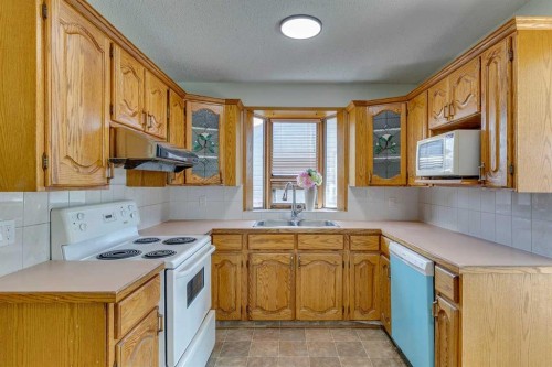 411 Rundleson Place Ne, Calgary, AB - Indoor Photo Showing Kitchen With Double Sink