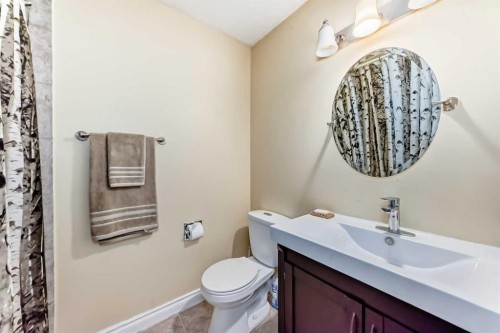 4821 60 Street Ne, Calgary, AB - Indoor Photo Showing Bathroom