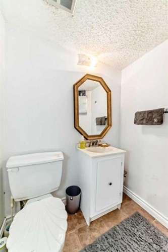 4821 60 Street Ne, Calgary, AB - Indoor Photo Showing Bathroom