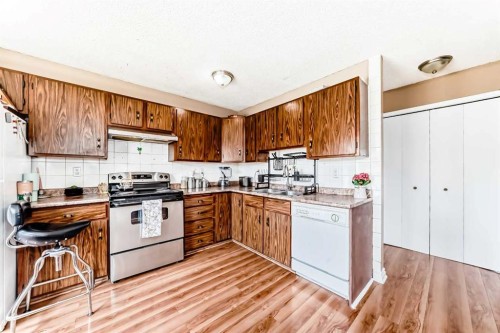 4821 60 Street Ne, Calgary, AB - Indoor Photo Showing Kitchen With Double Sink