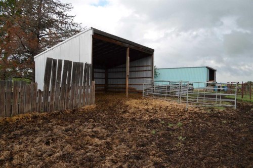 14123 Township Road 404, Rural Flagstaff County, AB - Outdoor