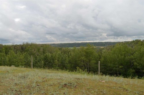 14123 Township Road 404, Rural Flagstaff County, AB - Outdoor With View