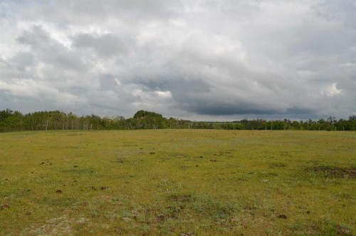 14123 Township Road 404, Rural Flagstaff County, AB - Outdoor With View
