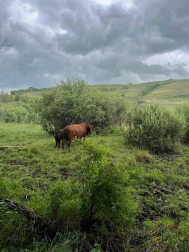 14123 Township Road 404, Rural Flagstaff County, AB - Outdoor With View